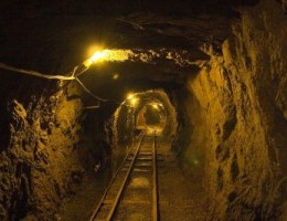 Goldenmine