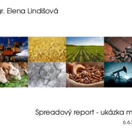 report_ukazka_icon