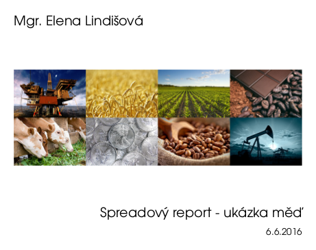 report_ukazka_icon