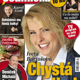 bulvik