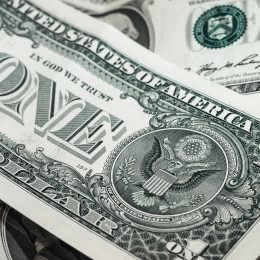 Americký dolar, Elena Lindišová